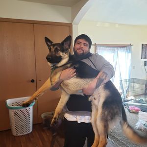 Meet your Posher, Travis